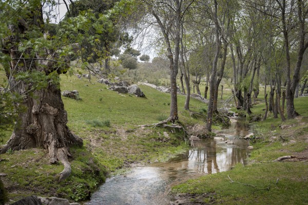 Finca Taurina Madrid