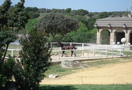 Rutas a Caballo sierra Madrid