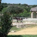 rutas-caballo-sierramadrid-paseos-montar